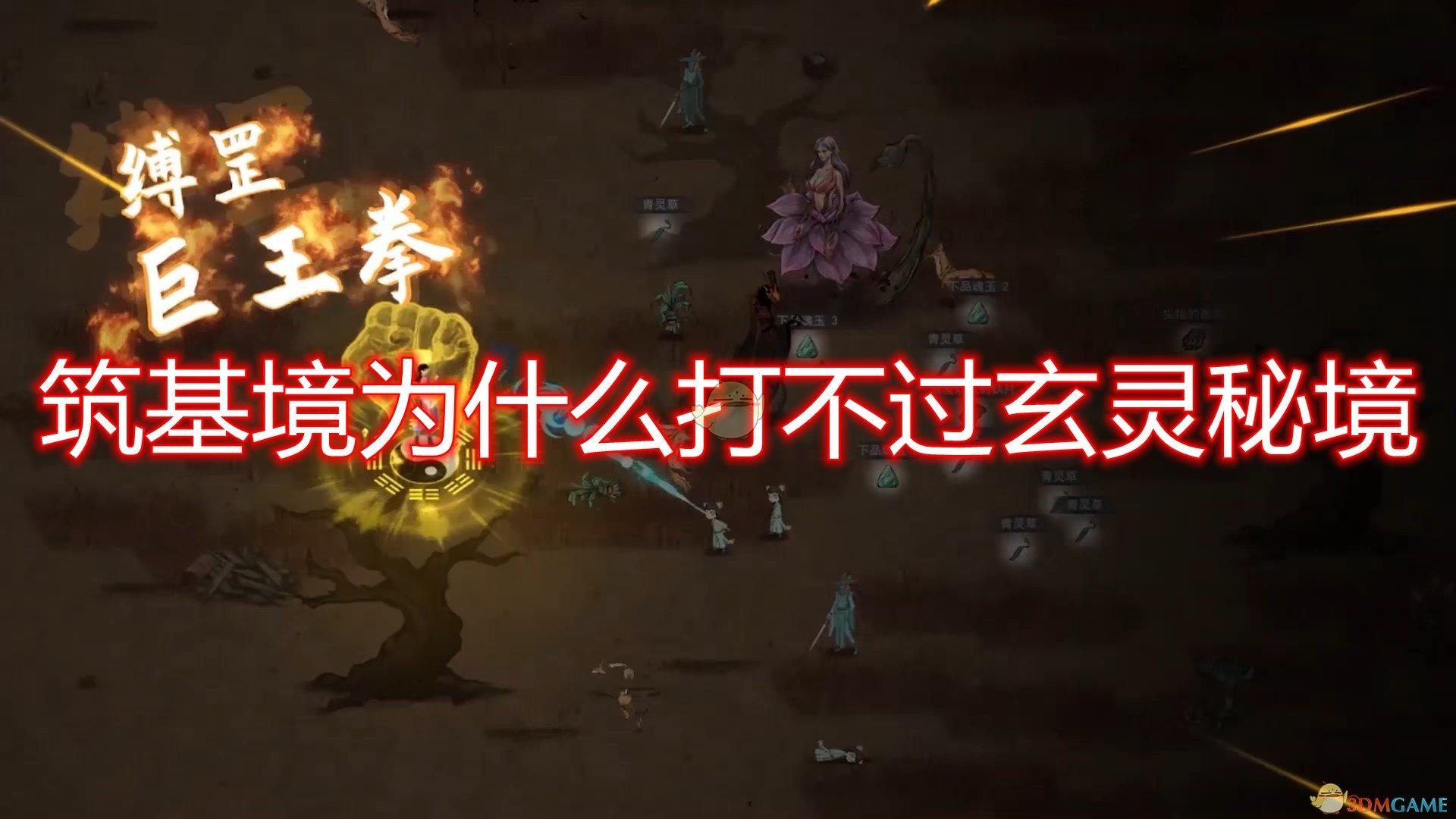 全民烧脑3去广告版