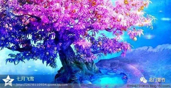1960年王震来石河子总场视察被当成工作人员，只因穿着太朴素